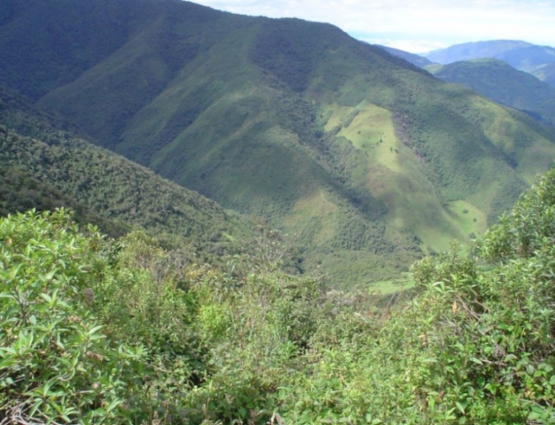 Bosque Protector Cashca Totoras